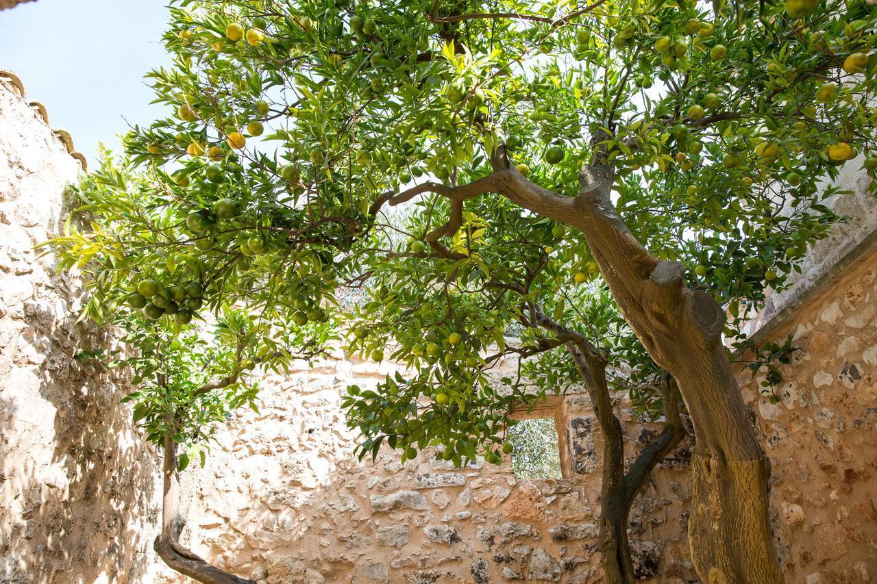 Masseria Saietti ルッファーノ エクステリア 写真